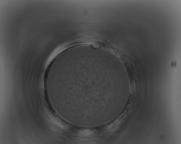 X0000093480198200710191213