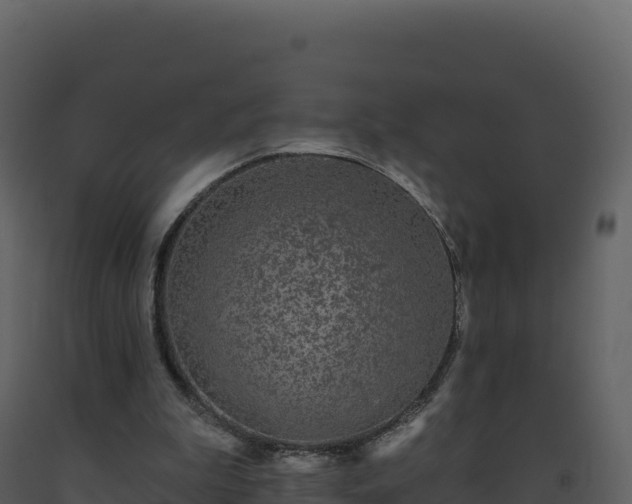X0000093480199200710191213