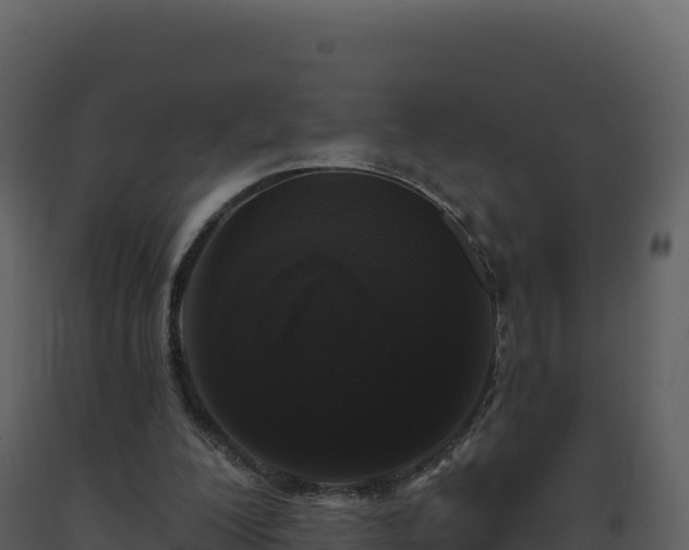 X0000093480200200710191213