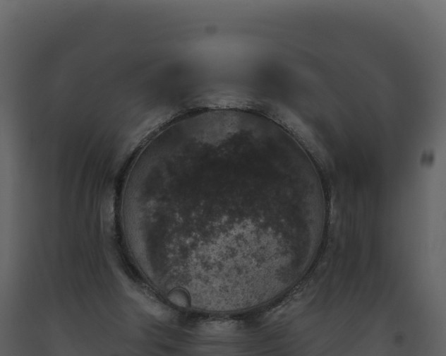 X0000093480202200710191213