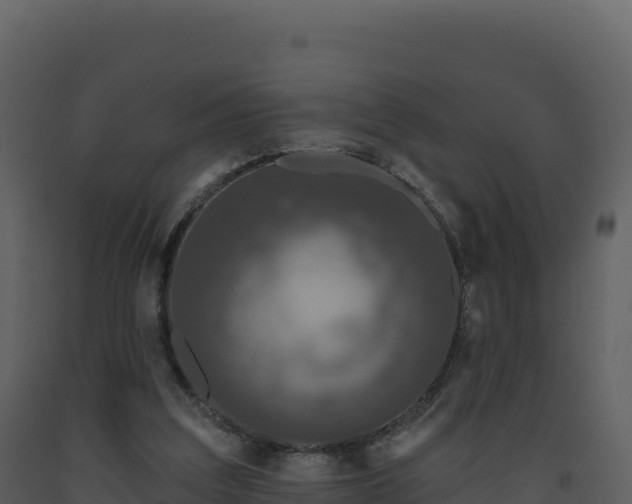X0000093480203200710191213