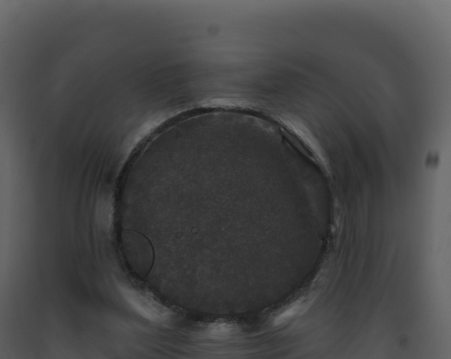 X0000093480204200710191213