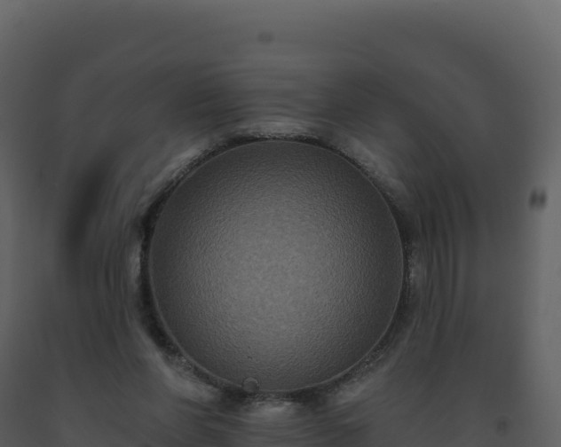 X0000093480206200710191213
