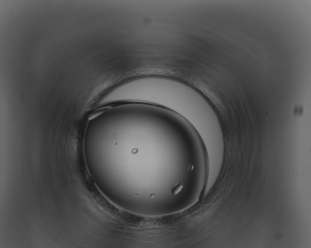 X0000093480207200710191213