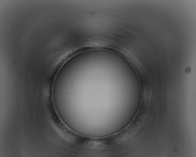X0000093480208200710191213
