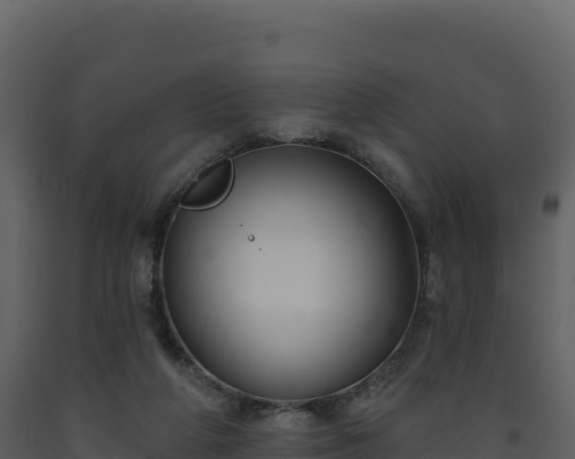 X0000093480210200710191213