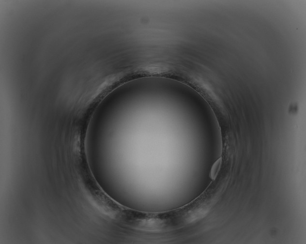 X0000093480212200710191213