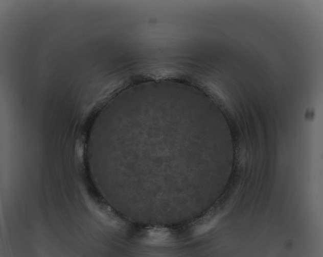 X0000093480214200710191213