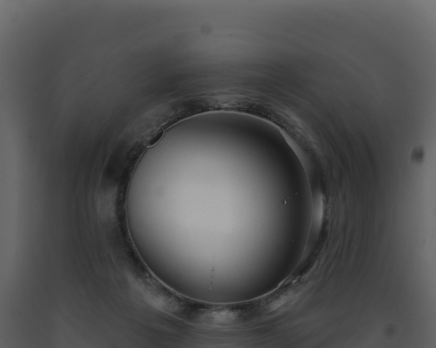 X0000093480217200710191213