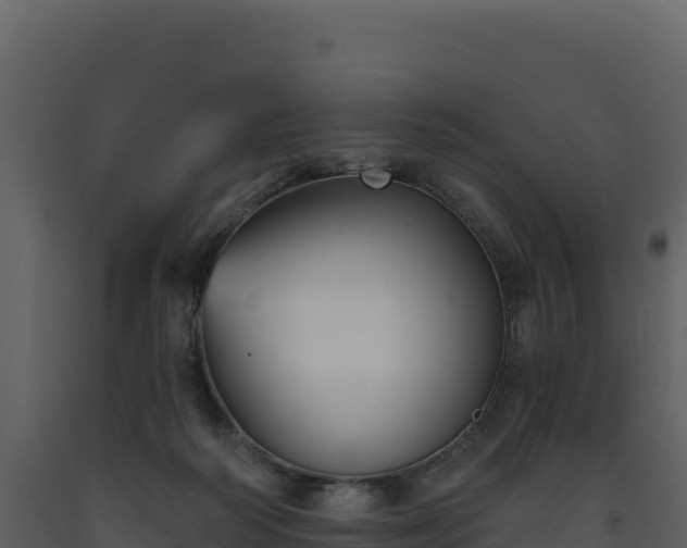 X0000093480218200710191213