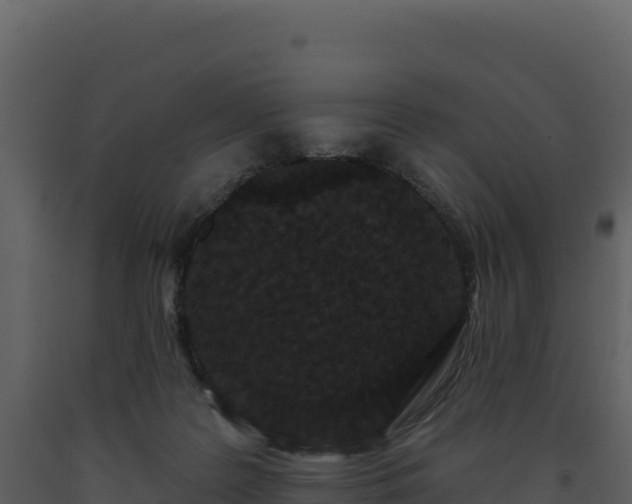 X0000093480219200710191213