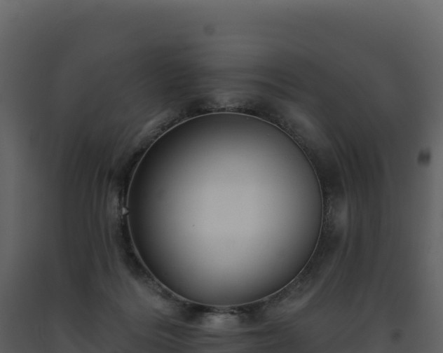 X0000093480220200710191213