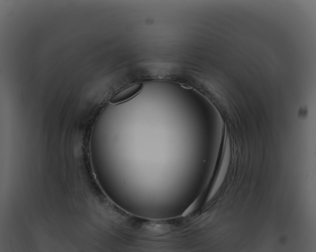 X0000093480221200710191213