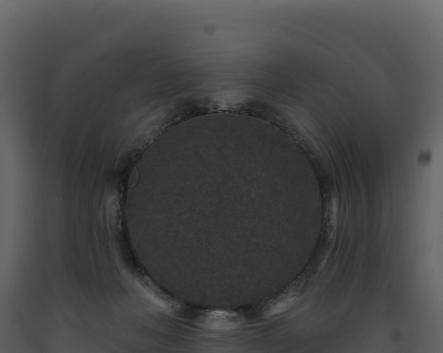 X0000093480222200710191213