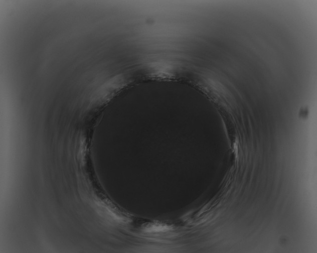 X0000093480223200710191213