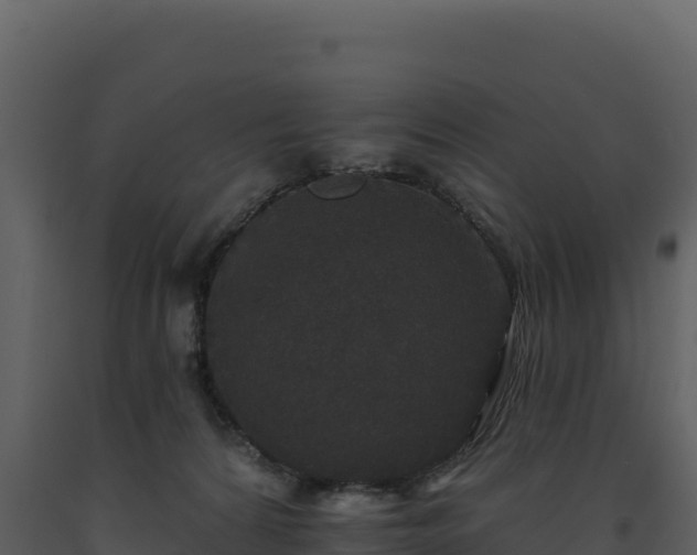 X0000093480224200710191213