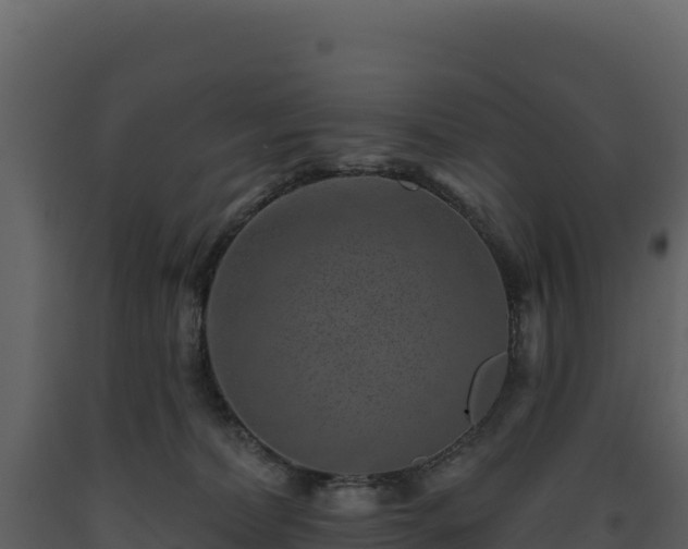 X0000093480228200710191213
