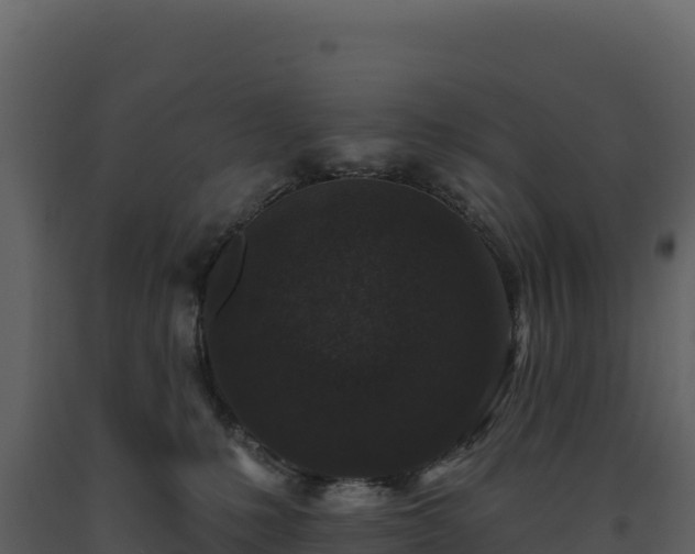 X0000093480231200710191213