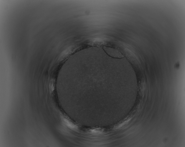 X0000093480232200710191213