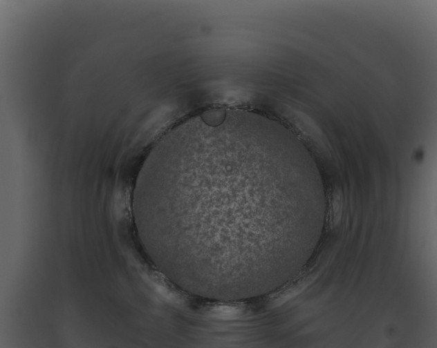 X0000093480236200710191213