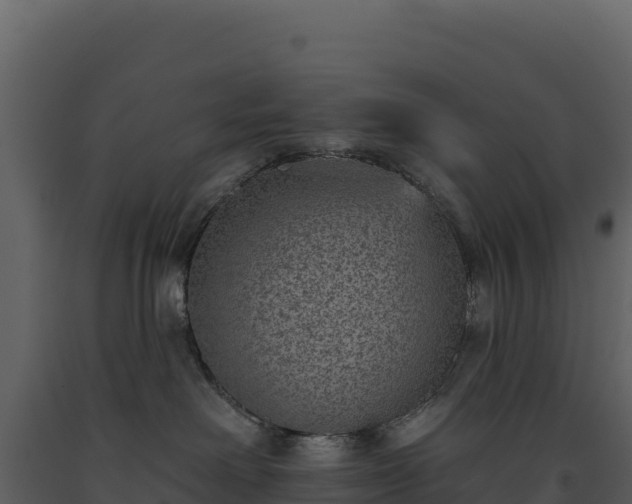 X0000093480238200710191213