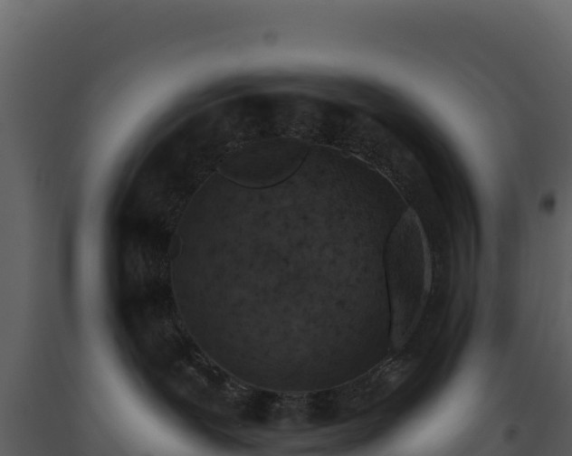 X0000093480239200710191213
