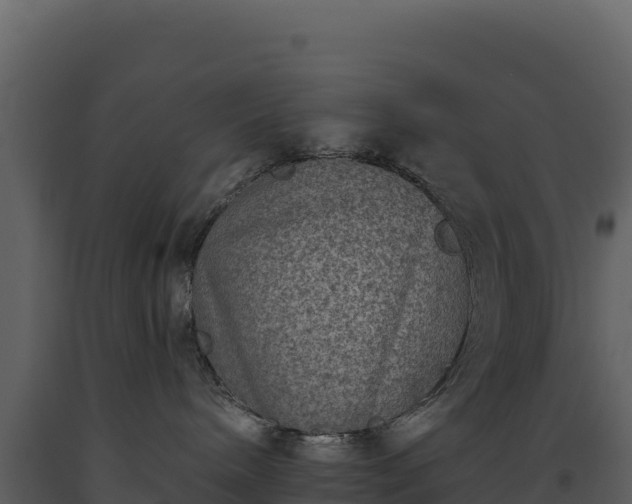 X0000093480240200710191213