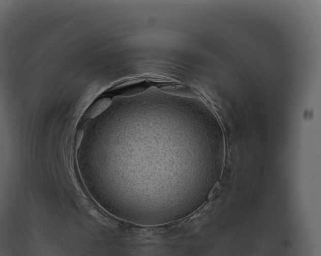 X0000093480241200710191212