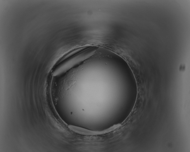 X0000093480242200710191212