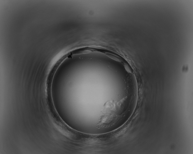 X0000093480246200710191212