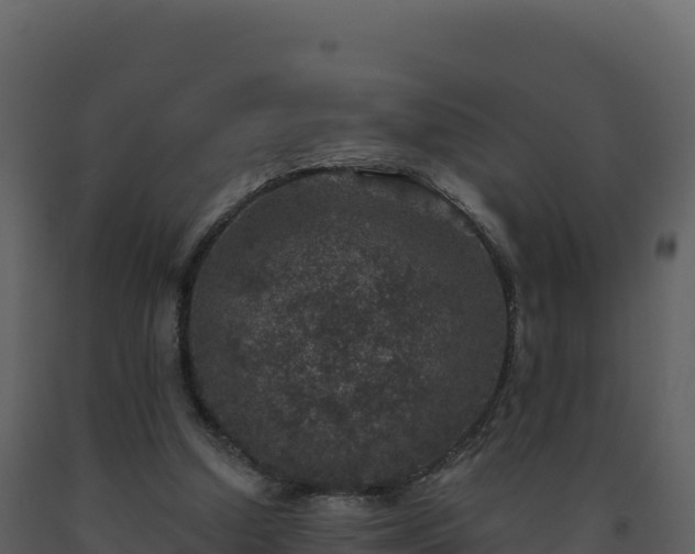 X0000093480250200710191212