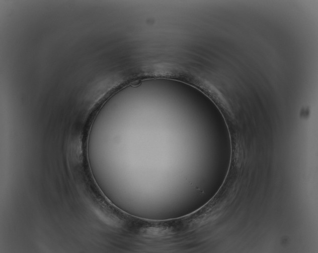 X0000093480251200710191212