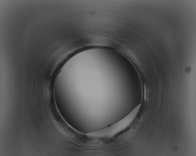 X0000093480252200710191212