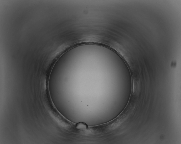 X0000093480253200710191212