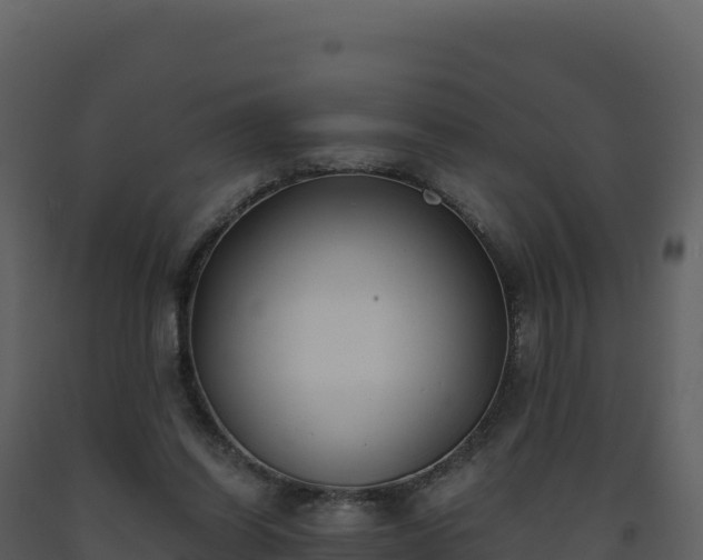 X0000093480254200710191212