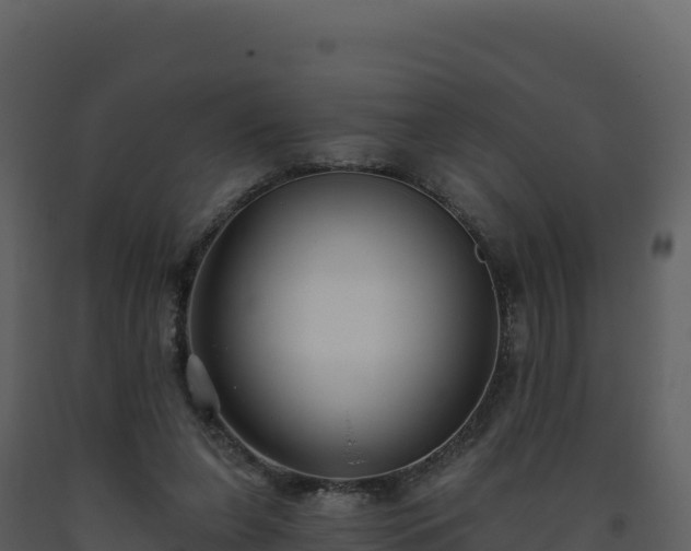 X0000093480255200710191212