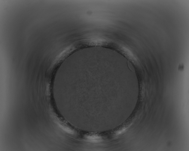 X0000093480258200710191212