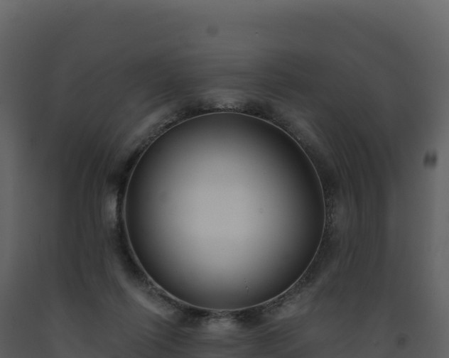 X0000093480262200710191212