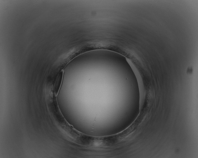 X0000093480264200710191212