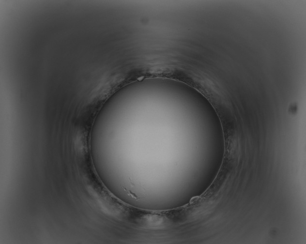 X0000093480272200710191213