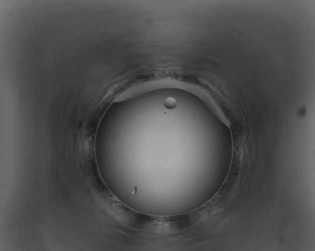X0000093480276200710191213