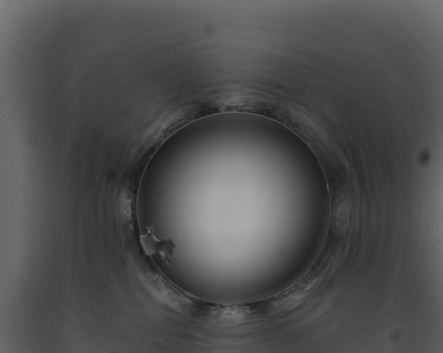 X0000093480282200710191213