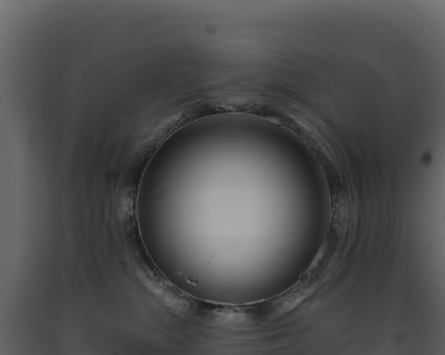 X0000093480284200710191213