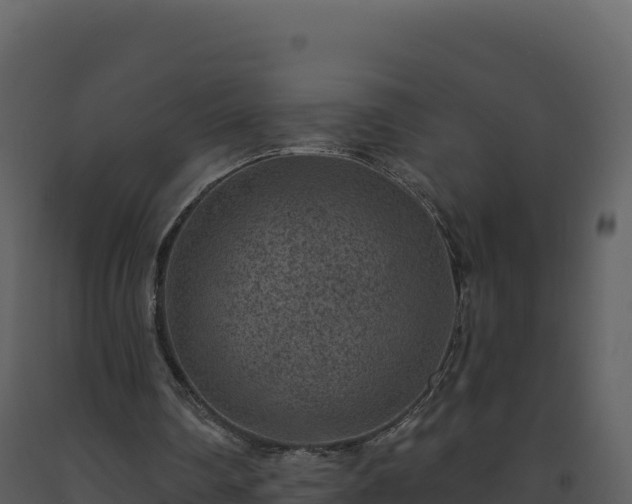 X0000093480290200710191212