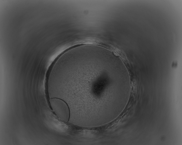X0000093480292200710191212