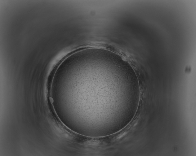 X0000093480294200710191212