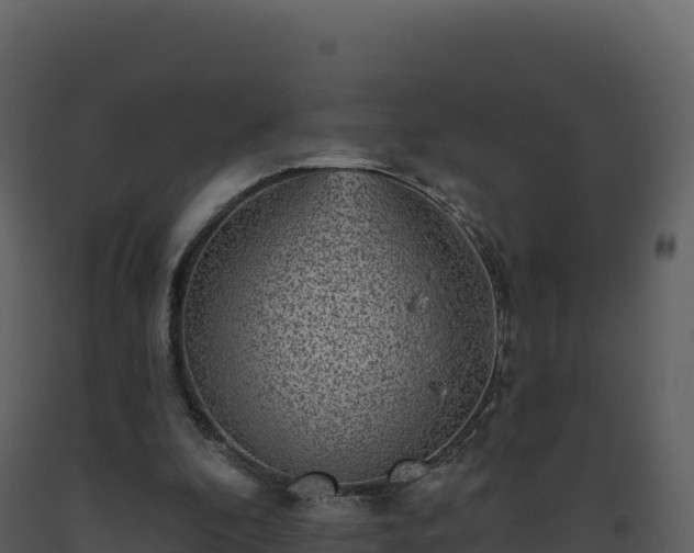 X0000093480296200710191212