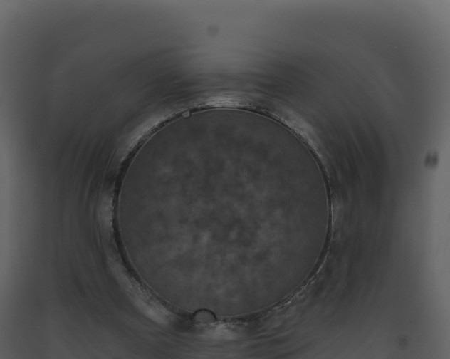 X0000093480297200710191212