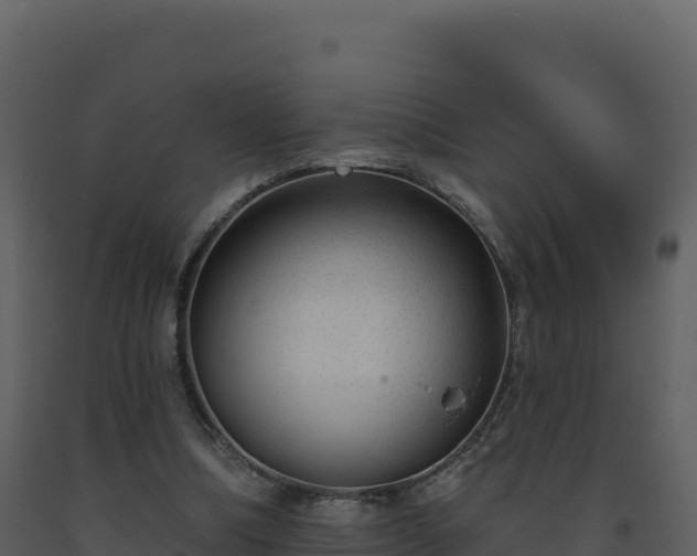 X0000093480298200710191212