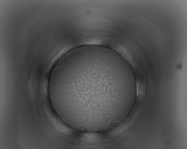 X0000093480300200710191212